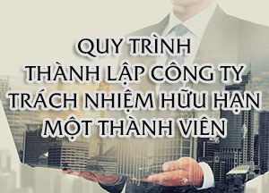 Tư vấn thành lập công ty Trách Nhiệm Hữu Hạn 1 thành viên